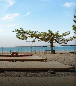 청포대 휴 캠핑장